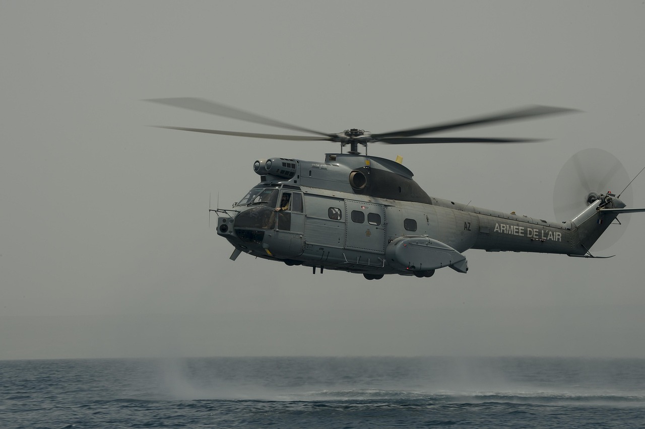 上海点心购买平台