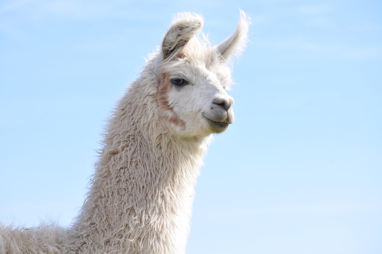 一品传承2娱乐，注册|如何在企业营销中赢得客户