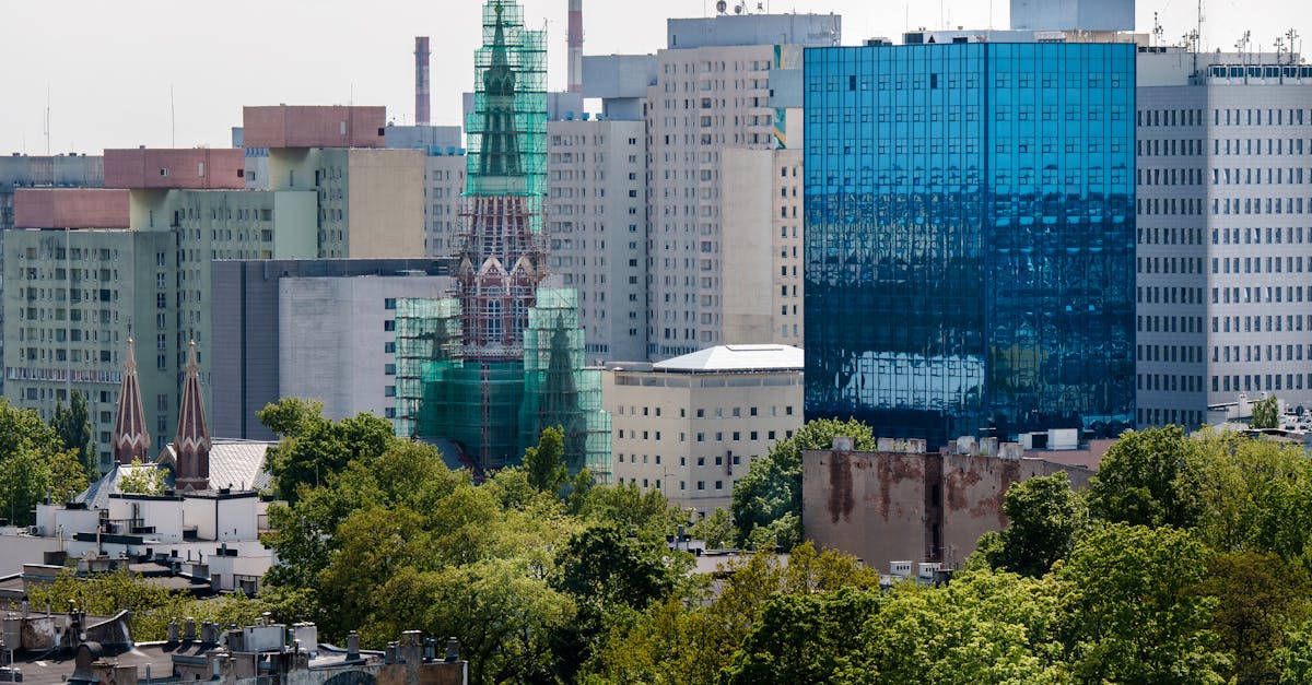 豪利时葡萄双爆珠（细）：app 官网详情下载教程