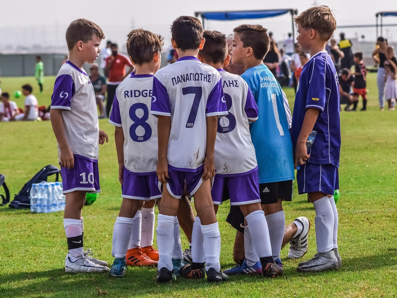 技术支持辅助的形式：从软件到硬件，从单机到多人