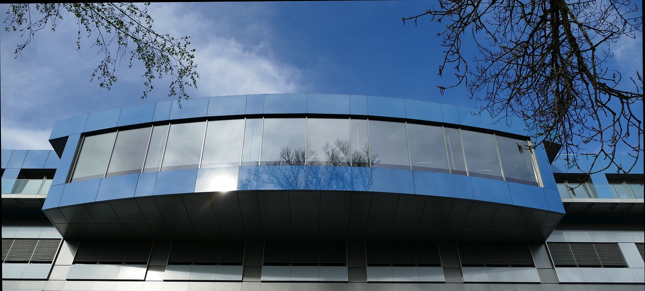 蓝狮在线框架详情下载教程app