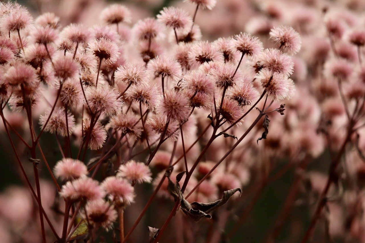 社交吸烟：如何影响你的角色？