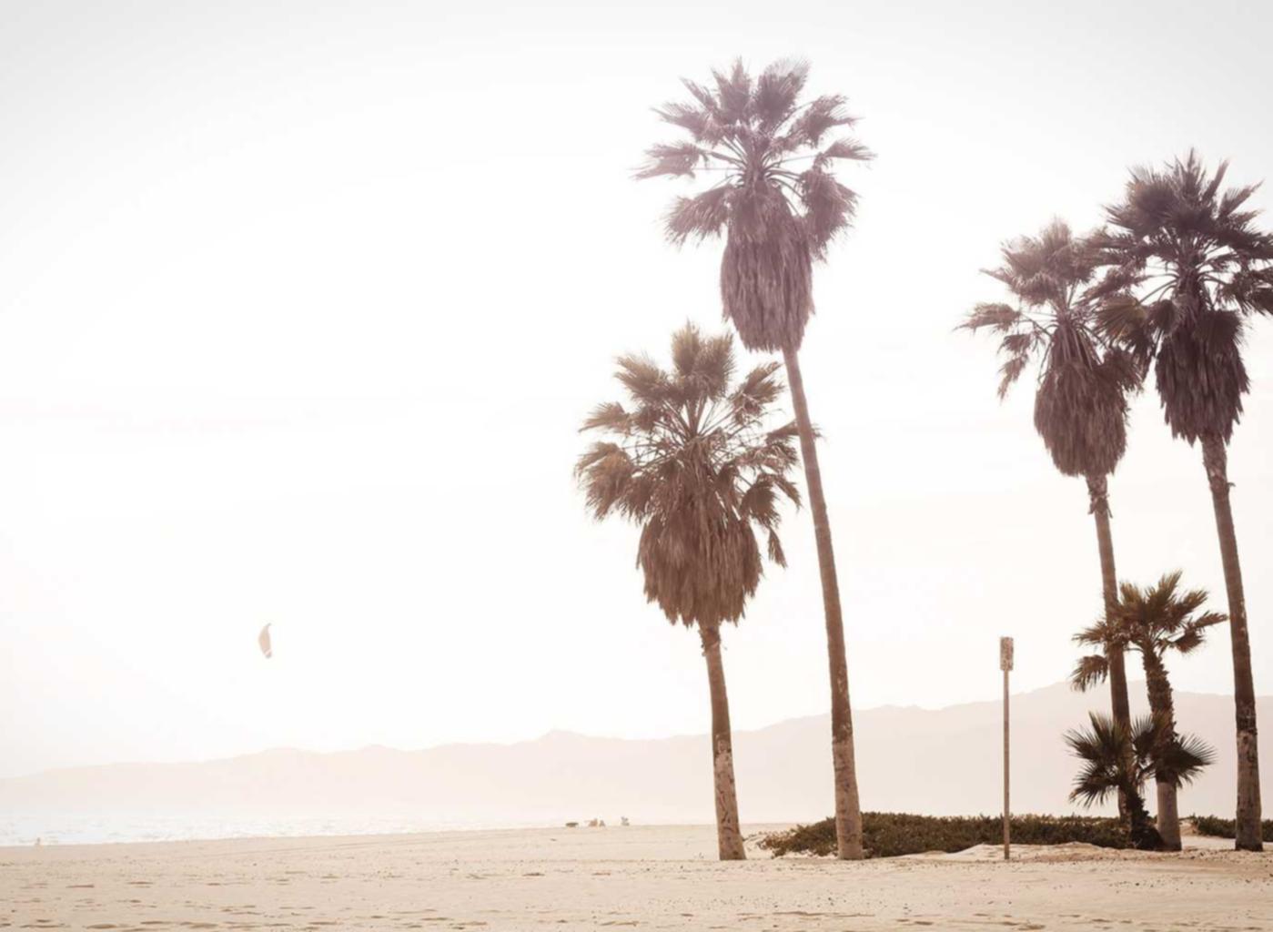 香烟中含有放射性同位素的影响